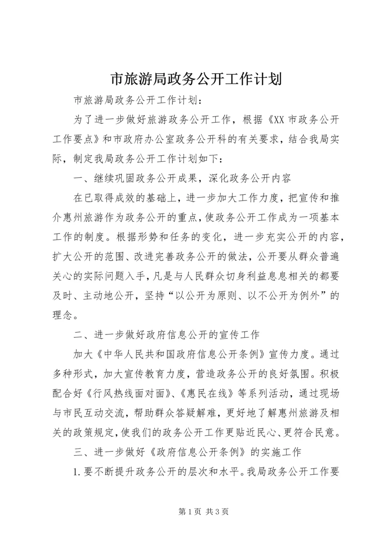 市旅游局政务公开工作计划 (3).docx