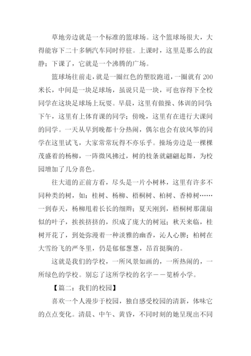 我们的校园作文900字-1.docx