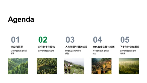 绿色农业：半年进展