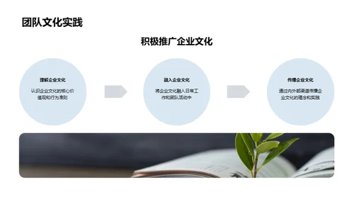 塑造高效团队的企业文化