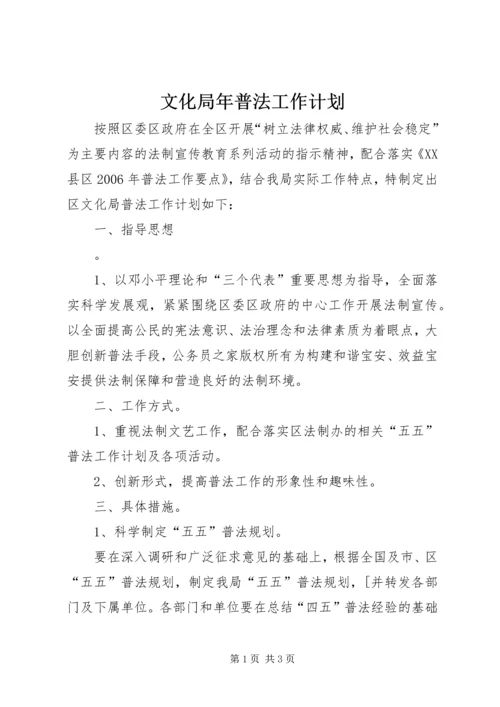 文化局年普法工作计划.docx