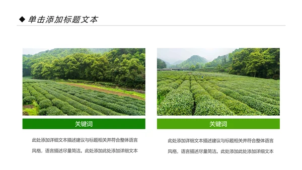 绿色清新茶园茶艺茶道文化动态PPT模板