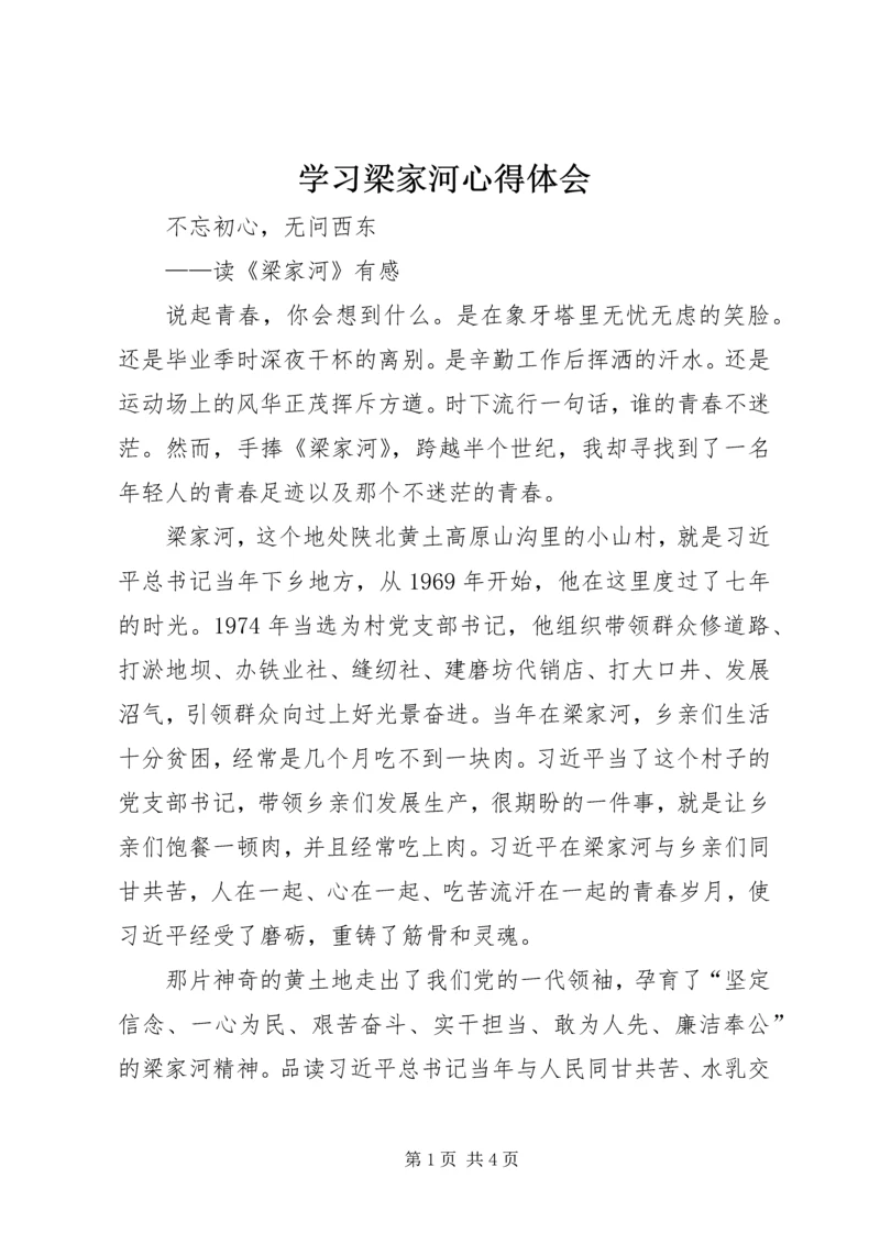 学习梁家河心得体会 (4).docx