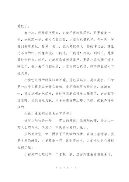描写小动物的外形.docx