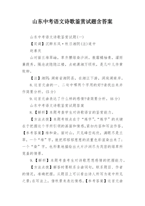 山东中考语文诗歌鉴赏试题含答案.docx