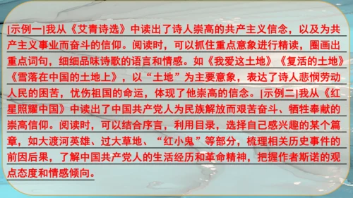 17《孤独之旅》课件