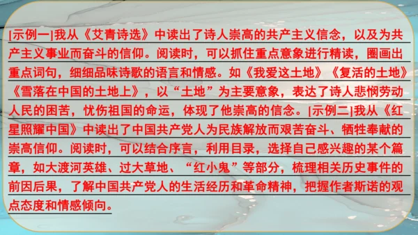17《孤独之旅》课件