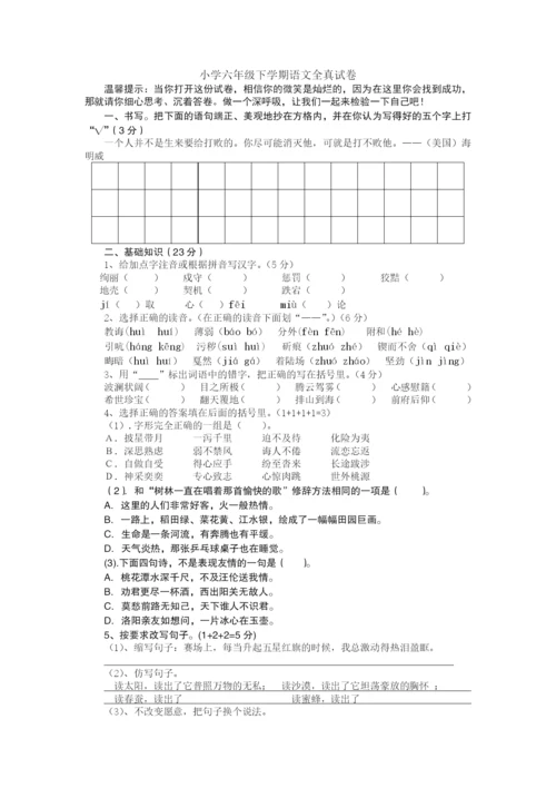 人教版六年级语文下册-毕业试题-(4).docx