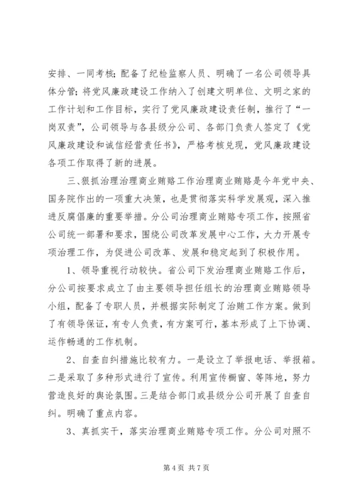 企业公司某年纪检监察工作总结.docx