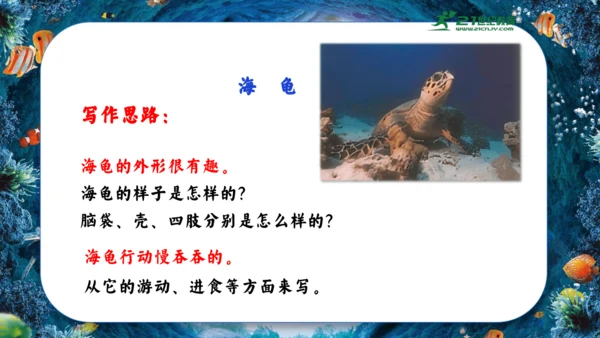 18.富饶的西沙群岛  课件