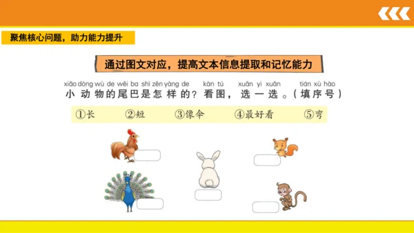 6 比尾巴  课件