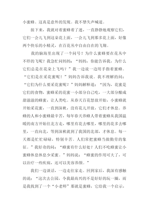 蜜蜂的启示作文.docx