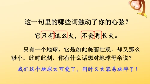 19 只有一个地球 课件