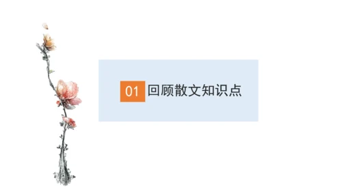 2022-2023学年初二散文综合复习