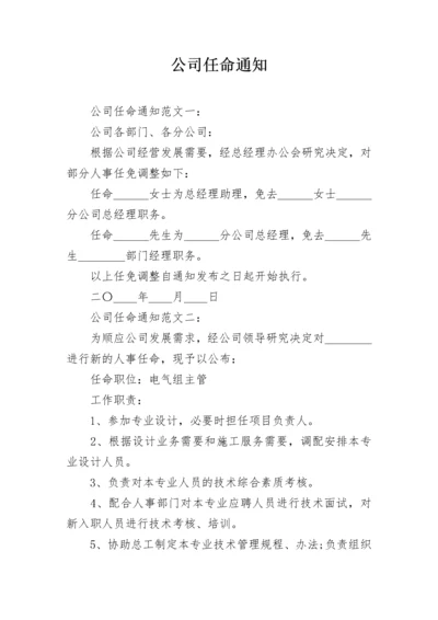 公司任命通知.docx