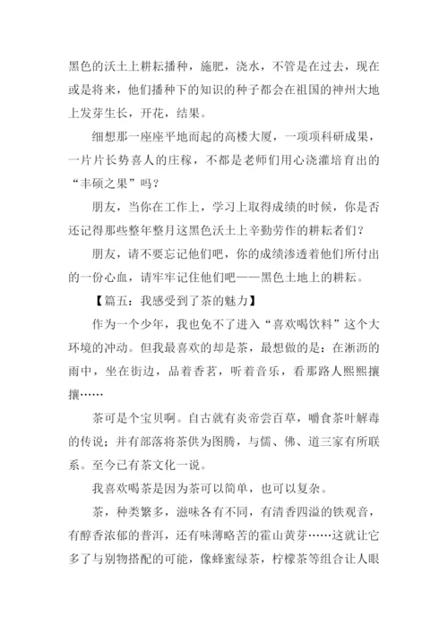 我感受到什么的魅力作文.docx