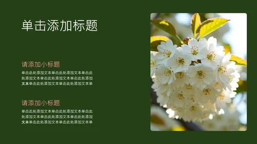 粉绿色简约几何樱花介绍