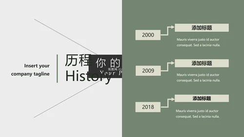 清新典雅绿茶果汁品牌茶文化宣传PPT模板
