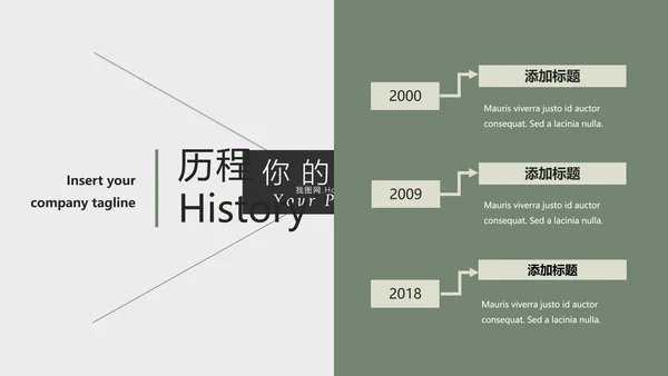 清新典雅绿茶果汁品牌茶文化宣传PPT模板