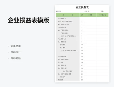 企业损益表模版