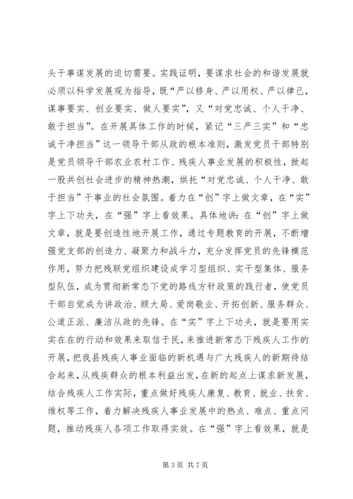 残疾人事业践行三严三实调研报告.docx