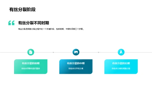 揭秘细胞分裂的奇妙之旅