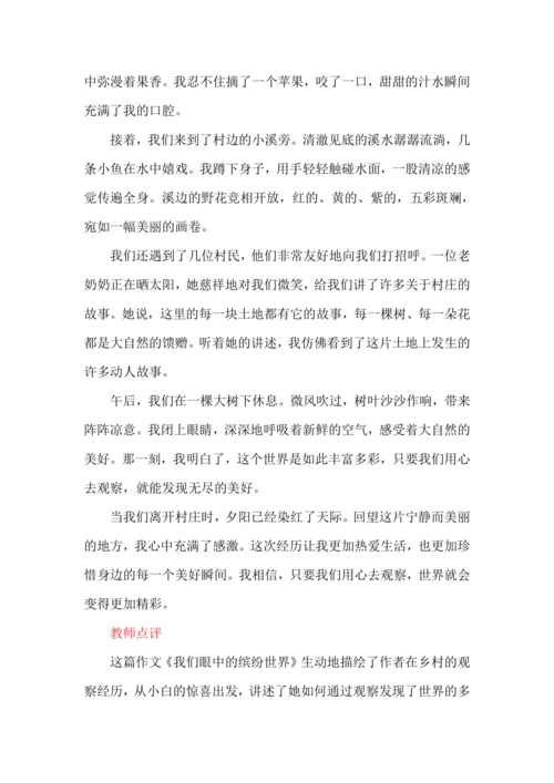 -统编版语文2024-2025学年三年级上册习作：我们眼中的缤纷世界 讲义