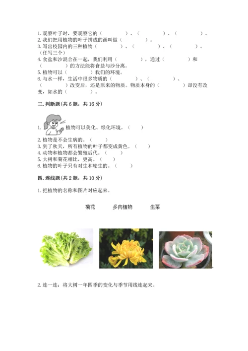 教科版科学一年级上册第一单元《植物》测试卷（夺冠系列）word版.docx