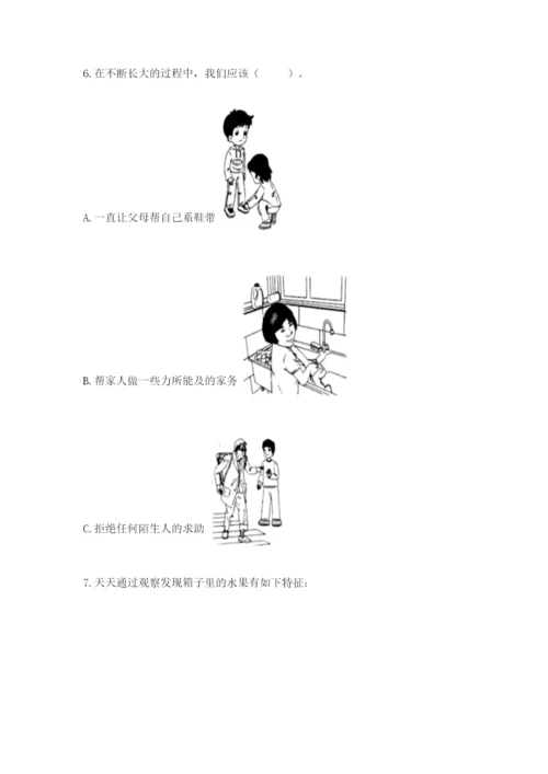 教科版小学科学二年级下册 期末测试卷附答案（研优卷）.docx