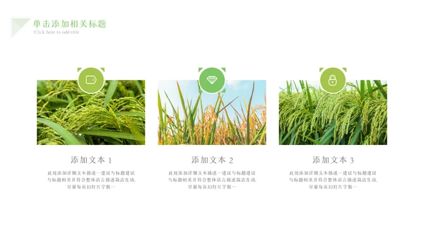 绿色农业生产春耕三农乡村振兴稻田水稻PPT