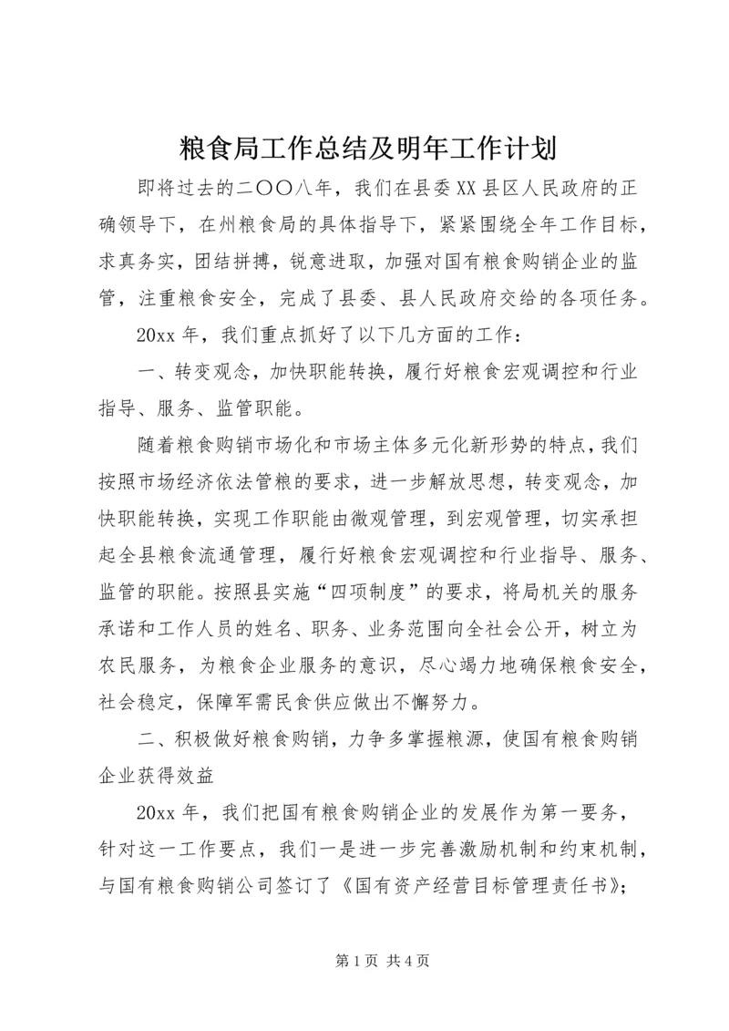 粮食局工作总结及明年工作计划精编.docx