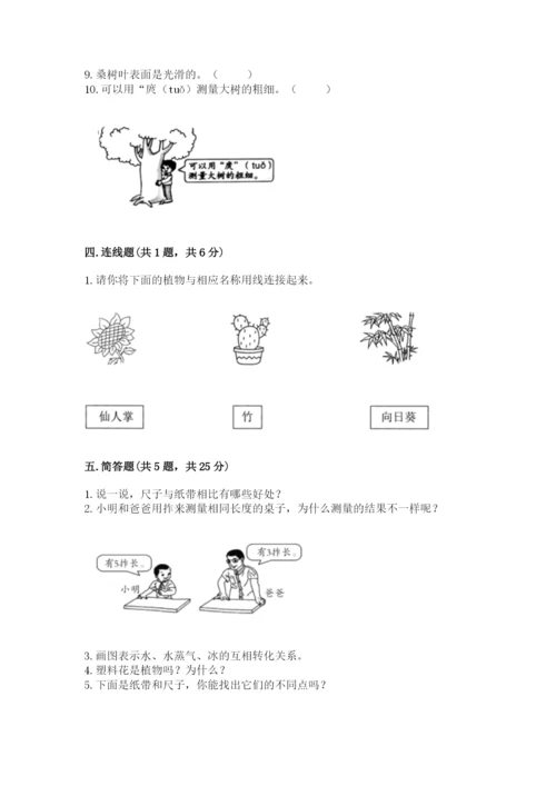 教科版一年级上册科学期末测试卷及答案【新】.docx