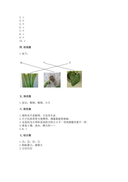 教科版一年级上册科学期末测试卷精品（含答案）.docx