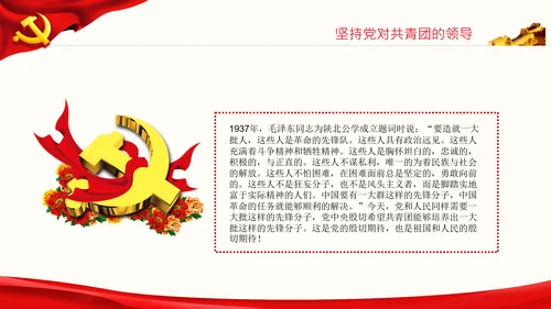 在庆祝共青团成立100周年大会上的讲话PPT