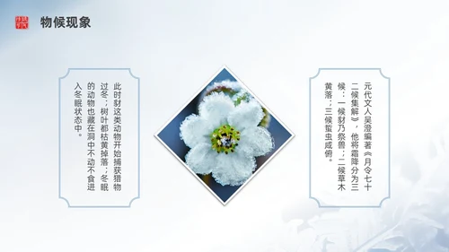 彩色实拍霜降二十四节气PPT课件