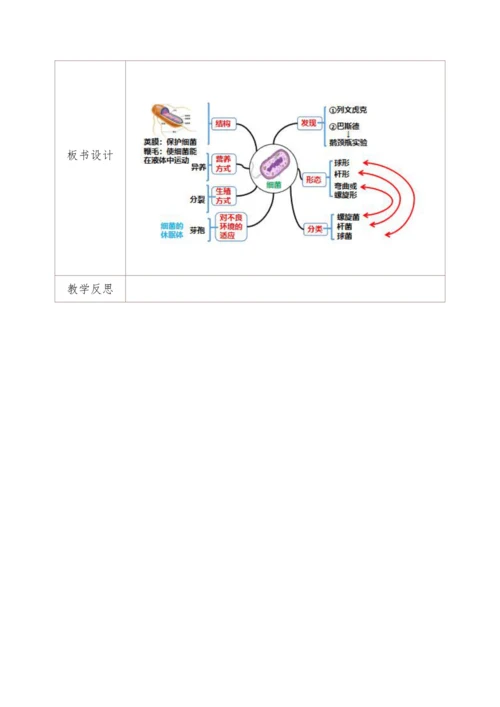 5.4.2细菌