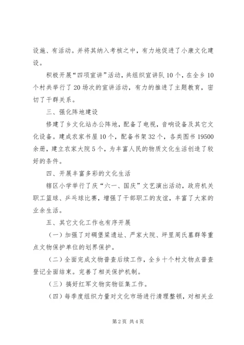 乡镇年度文化工作总结和工作计划.docx