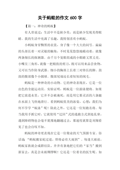 关于蚂蚁的作文600字.docx
