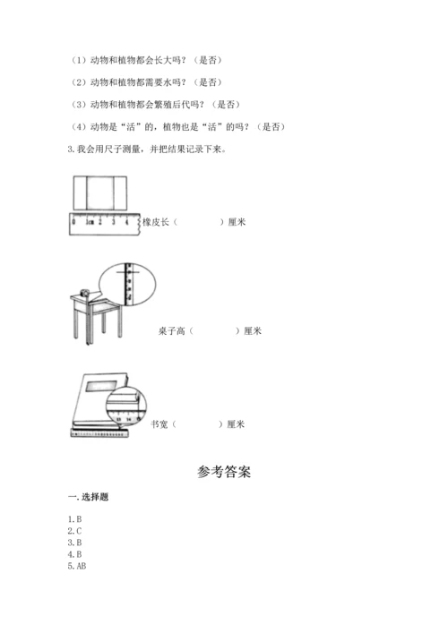 教科版一年级上册科学期末测试卷【黄金题型】.docx