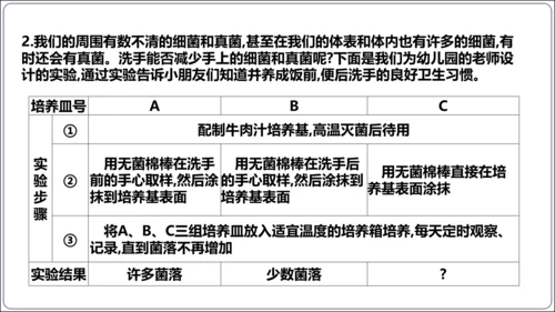 【人教八上生物期中复习考点梳理+临考押题】第四、五章 细菌、真菌和病毒（串讲课件）(共30张PPT)