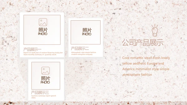 简约室内设计方案汇报工作总结PPT