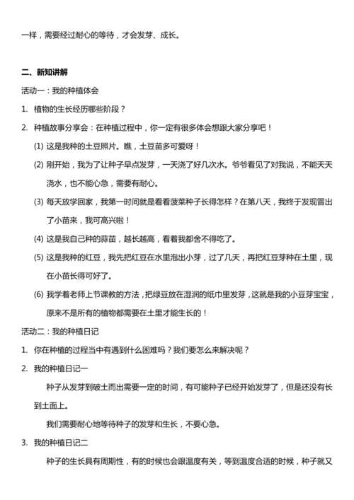 （核心素养目标）4.2 试种一粒籽  第二课时  教案设计