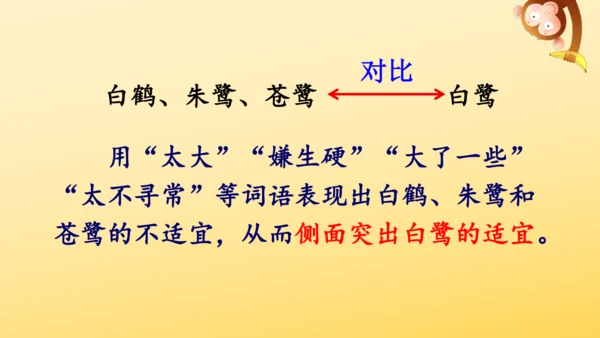 1 白鹭   课件