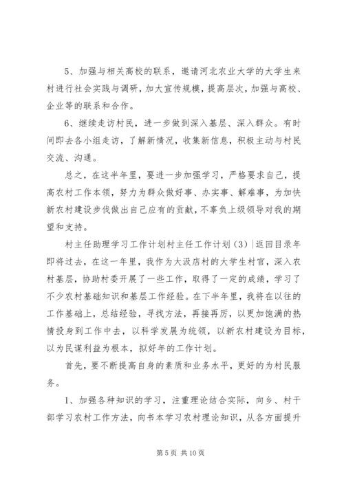 村主任工作计划4篇.docx