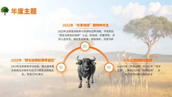 橙色世界动物日志愿者科普PPT模板