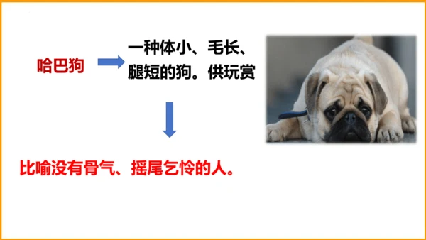 统编版四年级语文下册同步精品课堂系列语文园地四（教学课件）