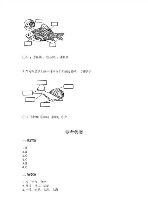 教科版科学一年级下册第二单元动物测试卷能力提升