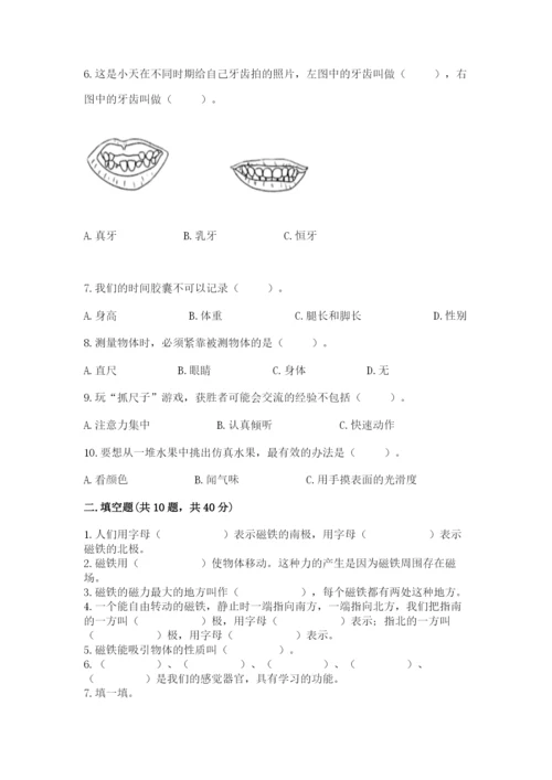教科版小学科学二年级下册 期末测试卷（名师系列）.docx