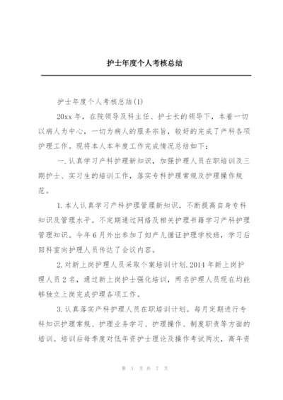 护士年度个人考核总结.docx