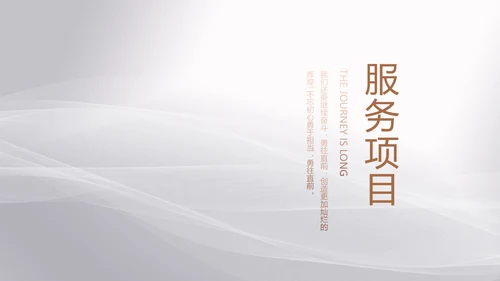 公司品牌策划方案工作总结动态PPT